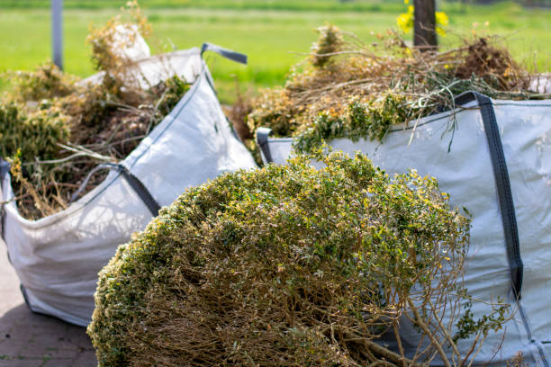 Best Same-Day Junk Removal Services  in Lakeview, GA