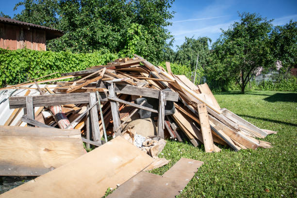 Best Shed Removal  in Lakeview, GA